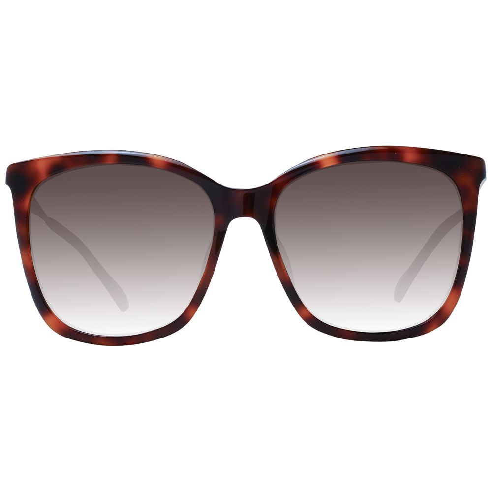 Jimmy Choo Bruin Dames Zonnebril Jimmy Choo