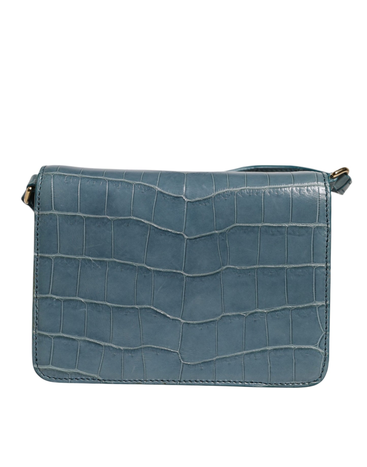 Dolce & Gabbana luxury crossbody bag in green exotic leather with recognizable DG logo plate