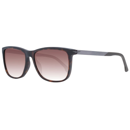Police Brown Men's Sunglasses